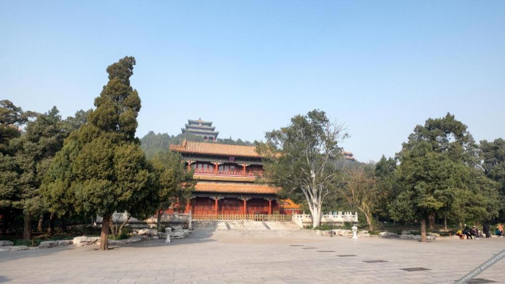 7 Days Panjiayuan Antique Cancer Hospital Beijing